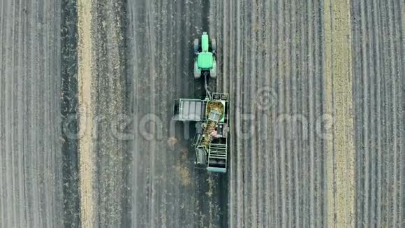 机器上满是土豆骑在一个栽培的田野上俯视视频的预览图