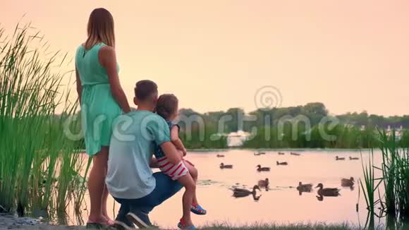 年轻家庭的剪影是在夏天散步日落在湖上看鸭子自然概念放松概念视频的预览图