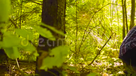 那个人的生态学家在森林里拍摄植物视频的预览图