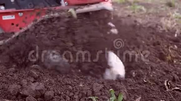 一个人用电耕机耕地视频的预览图