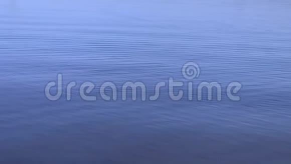 海水纹理背景平静的大海有小浪和涟漪的俯视视频的预览图