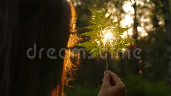 女人用蕨叶对抗夕阳视频的预览图