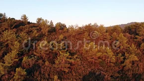 空中无人驾驶飞机在朝阳照耀下拍摄的山林视频的预览图