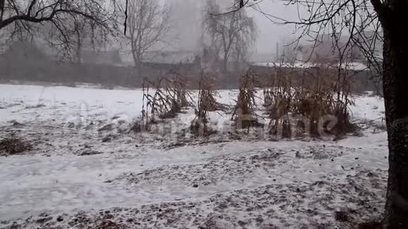 降雪和冬天的开始新年的节日视频的预览图