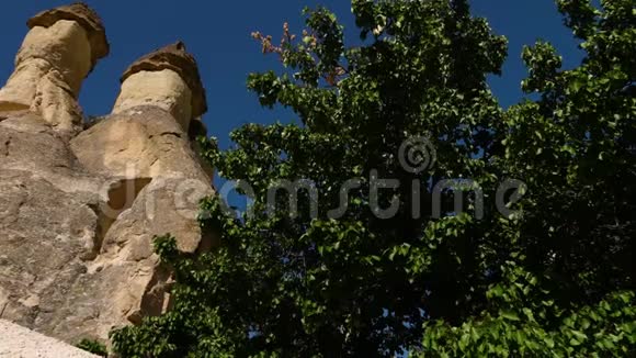 一棵高大的绿树旁边是一座直立的山顶岩层上面有两个尖顶视频的预览图