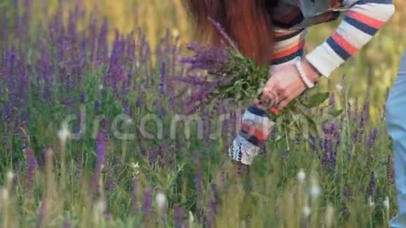 美丽的女人撕开矢车菊的花来编织花环视频的预览图