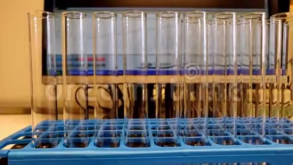 多个空白玻璃试管放在蓝色化学架上视频的预览图