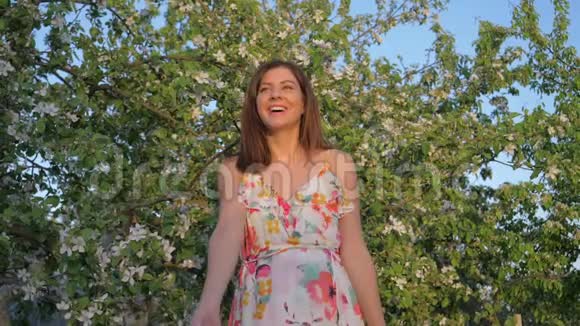 女人站在一片寂静的阳光下苹果园和玫瑰花瓣视频的预览图