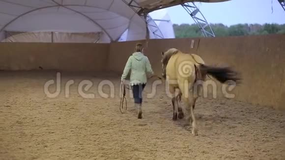 一位骑马的女骑手在农场的后景视频的预览图