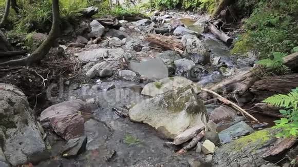 山中的河谷石头一条小河视频的预览图