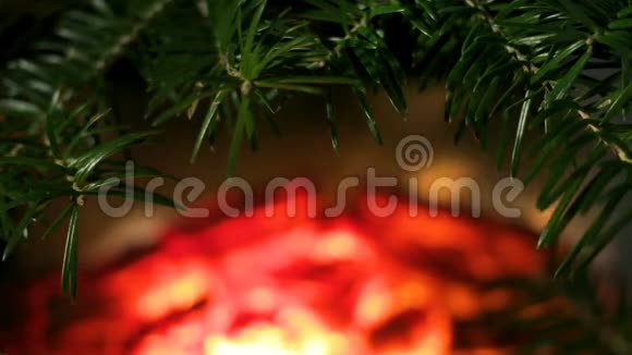 把云杉树枝架在壁炉的火焰背景上一个舒适的场景作为动画装饰的空白视频的预览图