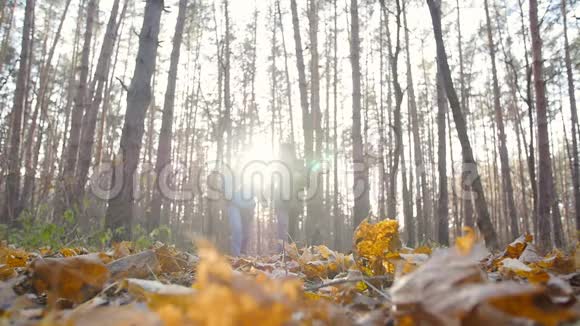 一对徒步旅行者在秋天的森林里背包徒步旅行积极休息的概念视频的预览图