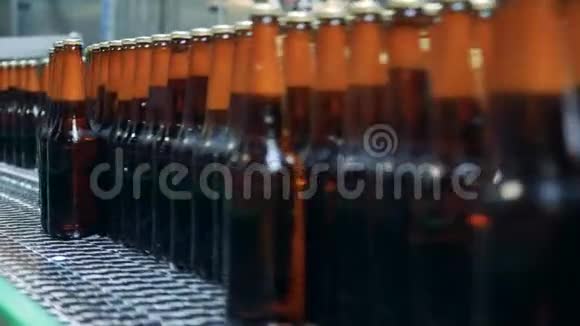 把装满啤酒的棕色玻璃瓶靠近运输皮带视频的预览图