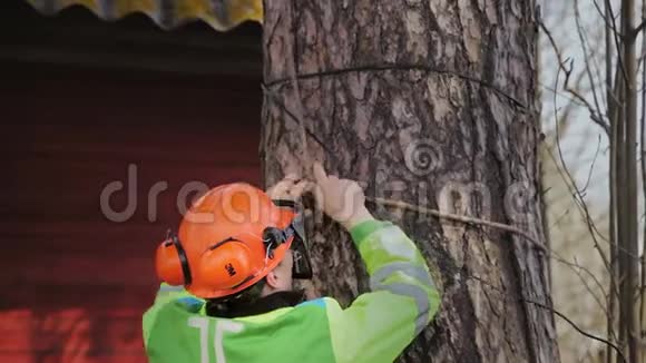 植树者用绳子绑在树干上视频的预览图