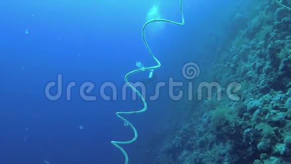 海礁上的螺旋珊瑚螺旋状视频的预览图