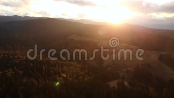 云杉林无人机空中野山视频的预览图