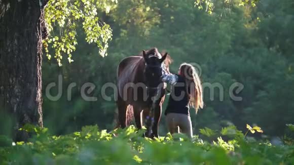 美丽的骑手跳上一匹马骑在绿色的森林和朝阳的光芒上视频的预览图