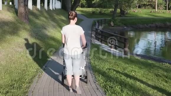 妈妈带着婴儿车在湖边散步照顾她视频的预览图