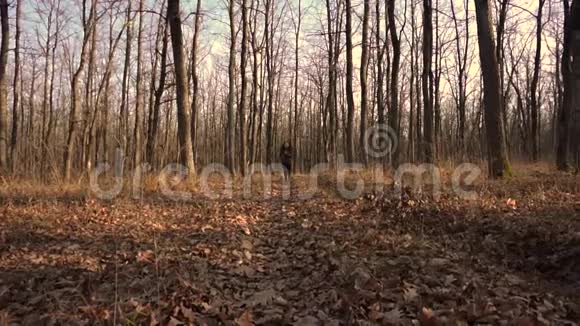 有教养的胖女孩穿过秋天的森林与超重作斗争视频的预览图
