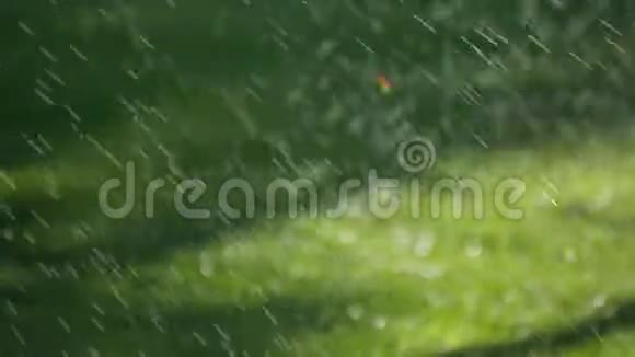 公园草地上喷水喷头的特写镜头视频的预览图