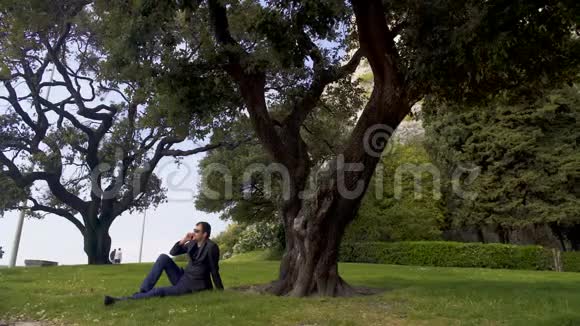 穿着经典西装的忙碌男人在大树旁放松打电话全景视频的预览图