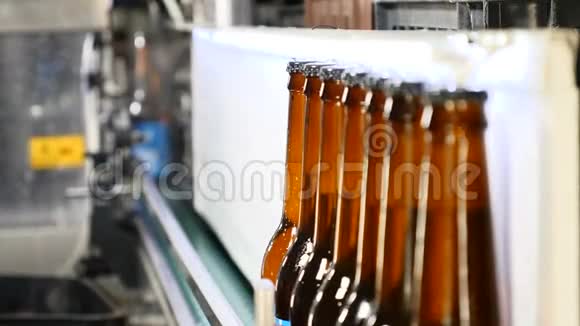 啤酒瓶的生产在工厂里装了棕色瓶子玻璃瓶在传送带上移动视频的预览图