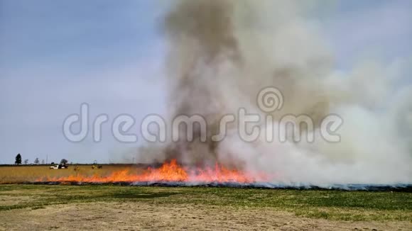 草火野火规定用火焰和烟雾燃烧慢动作视频的预览图