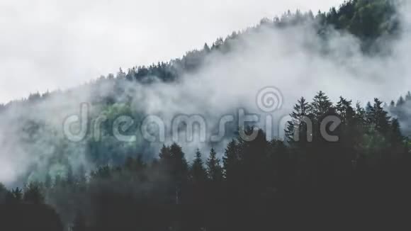 云层穿过森林的时间推移画面视频的预览图