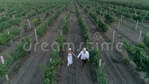 一起享受大自然一对夫妇牵着手在葡萄场上奔跑视频的预览图