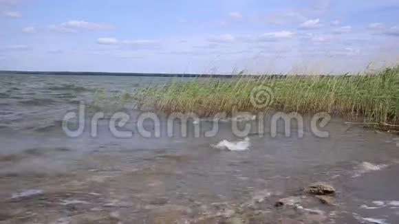 在湖上溅起波浪视频的预览图