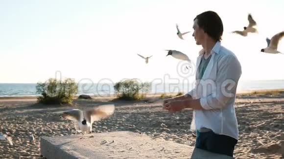 美丽的欧洲年轻人穿着白色衬衫在日落时在海边的海滩上给一群带面包的海鸥喂食视频的预览图