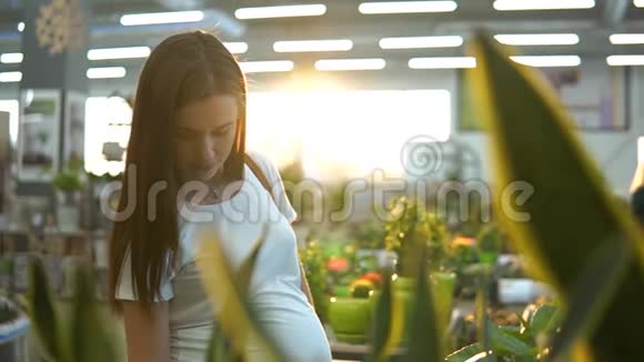 美丽的女孩穿着白色T恤在花店买绿色的花卉植物视频的预览图