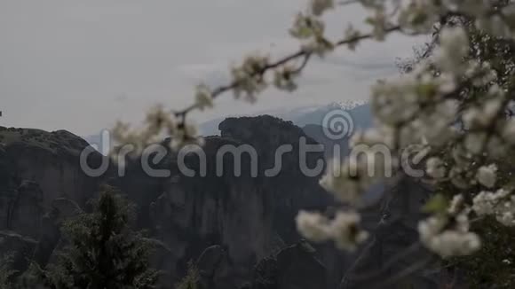 流星山背景上绽放的白色春天树视频的预览图