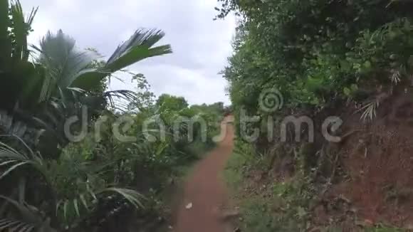 漫步塞舌尔马河岛森林3视频的预览图