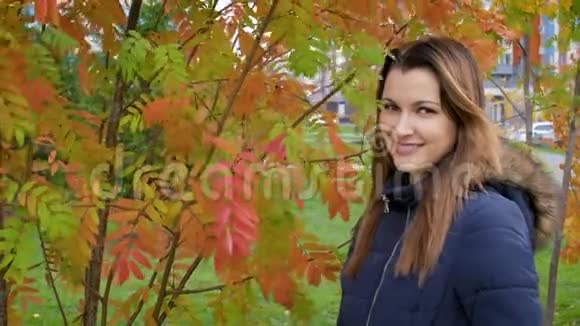 秋天的森林里快乐可爱美丽的年轻女子的肖像女孩笑着站在罗旺的灌木丛中视频的预览图