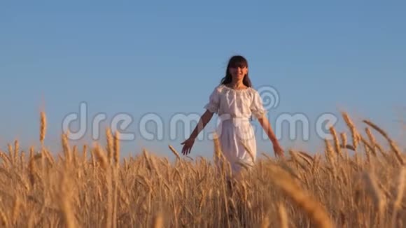 穿着白色衣服的女孩走向成熟的小麦女孩的手触摸成熟的小麦耳朵慢动作农业视频的预览图