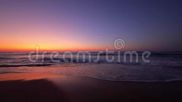 日出过海波和热带海滩新的早晨视频的预览图
