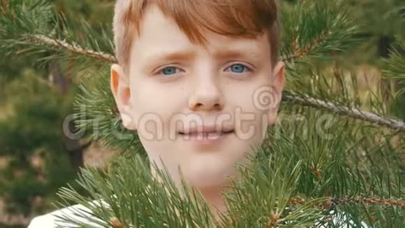 一个十几岁的男孩站在一棵杉树旁看着摄像机的情感画像视频的预览图
