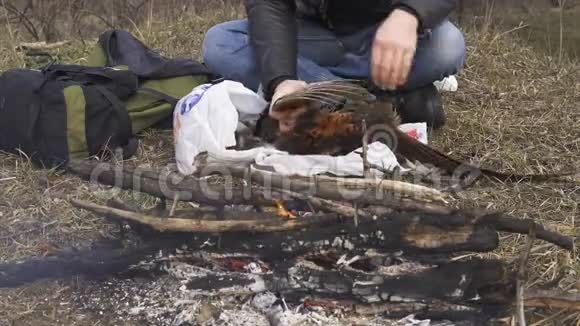 家禽准备狩猎主题人的手在篝火旁拉出一只五颜六色的鸡毛把一个视频的预览图