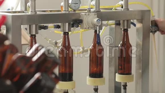 在一家啤酒厂一台机器装满了一瓶啤酒机器操作员控制过程特写镜头视频的预览图