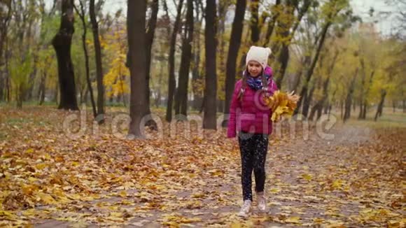 收集秋天落叶花束的女孩视频的预览图