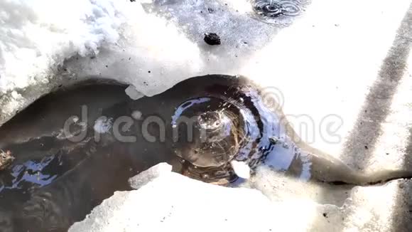 在阳光明媚的日子里在冰雪融化的背景下水坑里出现了春天的水滴视频的预览图