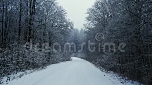 镜头移动在森林里的雪道上下雪了视频的预览图