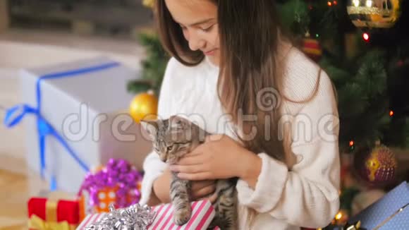 美丽微笑的年轻女子在家中的圣诞树下抚摸小猫的肖像视频的预览图