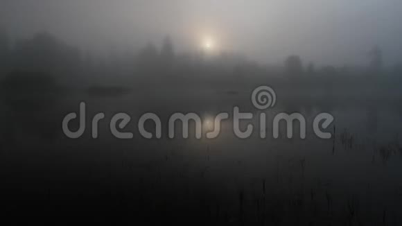 一股薄雾和太阳在一片有树木的沼泽中升起视频的预览图