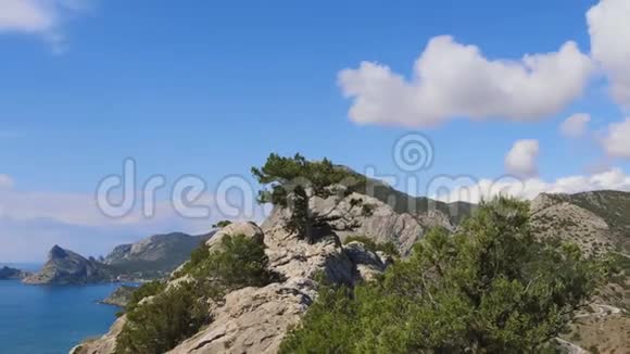 在裂片上生长的松树群山映衬蓝天白云海象的云彩穿过蓝天视频的预览图