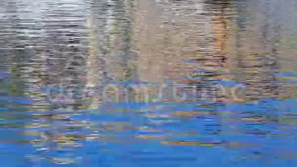 建筑物在水中反射视频的预览图