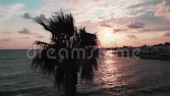 日落时棕榈树的鸟瞰图日落时分棕榈树和海洋的无人机拍摄棕榈树和旅游区视频的预览图