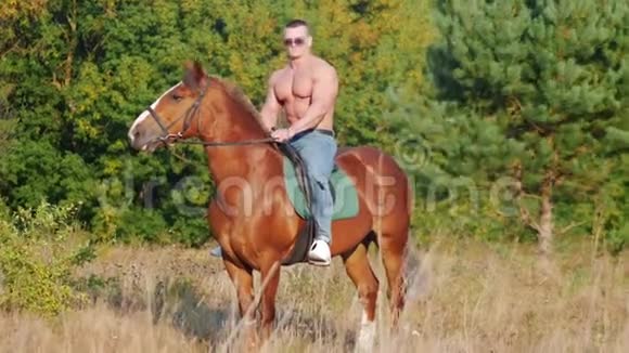 强壮的运动员戴着墨镜赤裸的躯干坐在森林附近的田野里的马背上视频的预览图