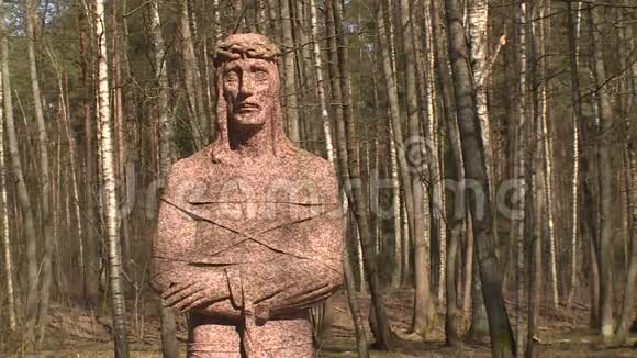 耶稣雕像站在森林附近视频的预览图